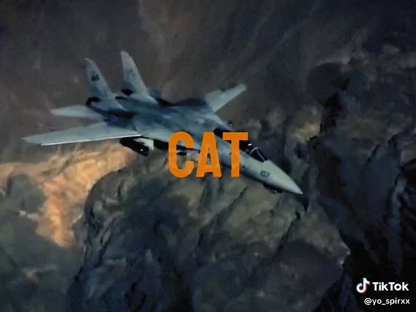 car😺 btw, The F-14 Tomcat is a supersonic, twin-engine, variable-sweep wing, two-seat fighter jet originally developed for the U.S. Navy. It's known for its air superiority, fleet air defense, and precision strike capabilities. The Tomcat's defining feature is its variable-sweep wings, which can automatically adjust their sweep angle during flight for optimal performance at different speeds. #tomcat #cat #cats #kitten #kitty #car #idksterling #67 #mango #fyp #plane #jet #fighter #military #avia