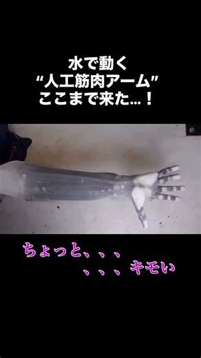 shota＠AI情報＆活用術 on Instagram: "Clone Robotics が開発したのは、 モーターではなく “水圧” を使って動く 人工筋肉アーム。 ・滑らかな動き ・人間に近い握力 ・ピーク時でも 200W 程度の消費電力 このスペック、普通に人間の腕と変わらない…。 むしろ、未来の職場に“AIアシスタントが隣で働く姿”がリアルに見えてきた。 水を循環させることで、 従来のロボットにありがちな「ガチャガチャ動く機械感」が消え、 人間の筋肉の質感に寄せた“しなやかな挙動”に。 正直、これはロボティクスのゲームチェンジャー。 数年後には、家庭・工場・医療…あらゆる現場で “人のように扱えるロボットアーム”が当たり前になるかも。 あなたはどう思う？ 💬 このレベルのロボットが増えた未来、ワクワクする？ ちょっと怖い？ Media: Clone Robotics"