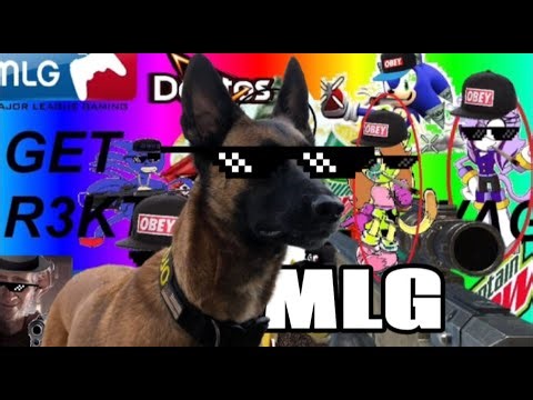 Random clips of my Doggo | MLG MOJO!!