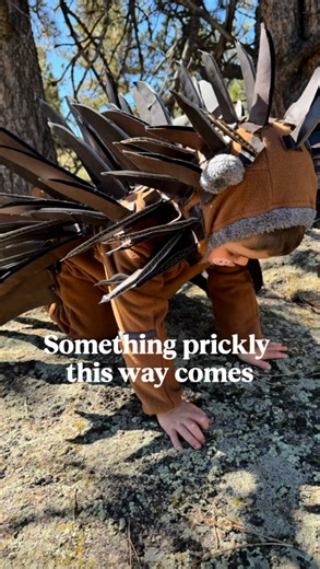 Amanda | Handmade Crafts & Whimsy on Instagram: "Porcupines spotted in the wild… armed with cardboard quills. 🦔🦔 These DIY kids’ costumes were made with cardboard, hot glue, and a whole lot of imagination. Handmade Halloween is our favorite, from costumes to décor, making it ourselves is always more fun! #PorcupineCostume #DIYHalloweenCostume #HandmadeHalloween #diykidscostume #KidsHalloweenCostumes #HalloweenCostumeIdeas #CardboardCostume #WhimsicalHalloween #CraftyMoms #DIYCraftsForKids #Hal