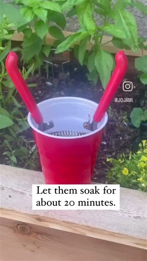 How to Clean Your Rusty Pruners!