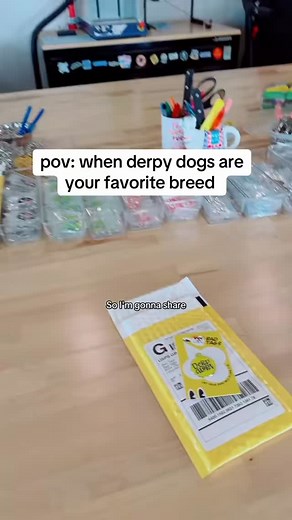Derpy dogs are my favorite breed 🥰 | Bad Tags