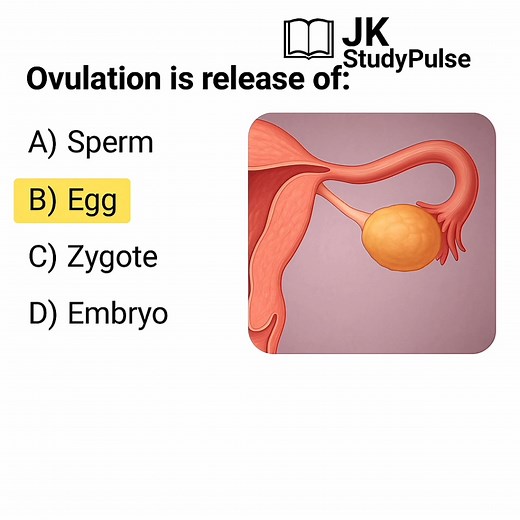 Biology Master Quiz: Crack Every Concept! | JK StudyPulse