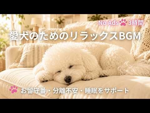 【3時間・広告なし🐾】愛犬が安心して眠るリラックスBGM