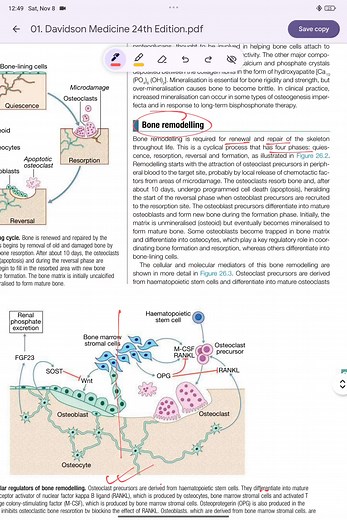 Topic: Bone Remodeling Chapter: Rheumatology (Davidson 24th Edition) By: Dr. Md Hasibul Hassan Shanto MBBS (Dhaka) Please Follow 5 Min Davidson Facebook Page for quick, smart, and high-yield medical concepts every day! ⏱ Learn Medicine in Just 5 Minutes a Day! | 5 min Davidson