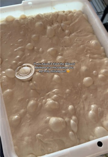 Transform Your Microbakery with the Aliquot Method