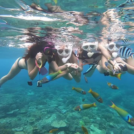 梅雨明けして夏日の沖縄水納島は透明度抜群で虜になります！#沖縄 #水納島 #みんな島 #シュノーケリング #スキンダイビング #素潜り #okinawa #minnajima #マリンスポーツ #マリンショップナチュラル #ダイビング