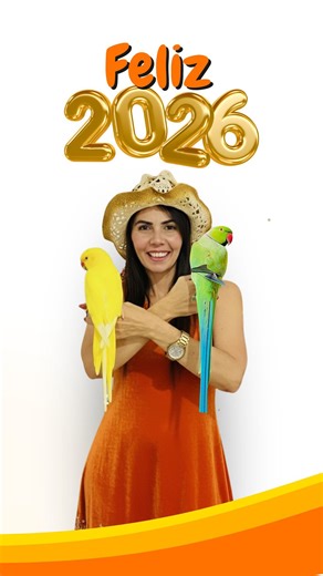 ✨ Gratidão define esse ano. ✨ Cada voo, cada canto, cada fase registrada aqui não foi só sobre ringnecks… foi sobre conexão, aprendizado e amor compartilhado. 🦜💚 Nada disso faria sentido sem vocês: os que curtiram, comentaram, compartilharam, torceram, ensinaram e caminharam conosco todos os dias. Cada interação foi um incentivo, cada mensagem um abraço, cada parceria uma ponte construída com carinho. Esse ano foi feito de crescimento — deles e nosso. De desafios superados, de evolução visível