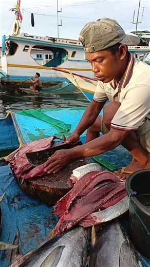 filleting fresh tuna