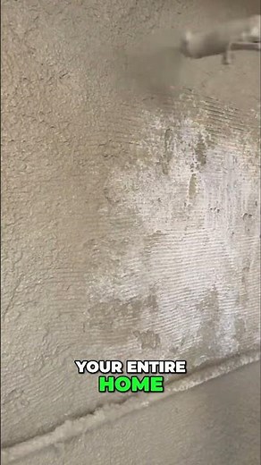 Seal Your Basement Walls: NO Hollow Areas! #shorts
