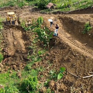 Caterpillar Bulldozers at Work, D6R XL Dozer Pushing Bushes, and Soil Building Plantation P3 | Buldozzer Mountainn