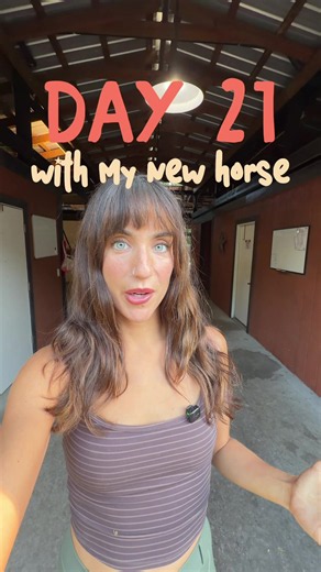 Barn vlogs for animal lovers and equestrians