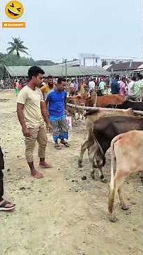 5 Hilarious Short Skits! Which One Is Your Favorite? 😂