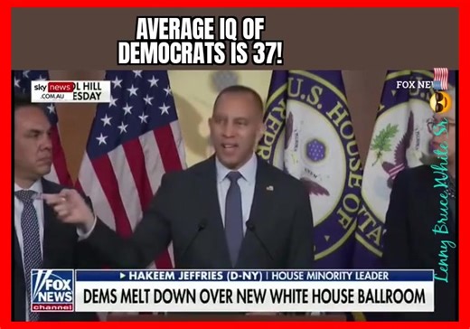 1.6K views · 21 reactions | Democrats are idiots! By now, EVERYBODY...