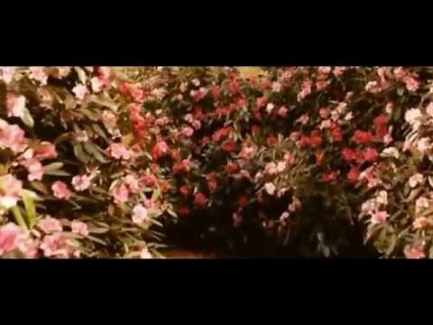Jeff Buckley Lilac Wine