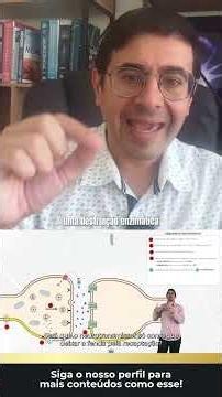 Como um neurotransmissor é removido de uma fenda sinaptica
