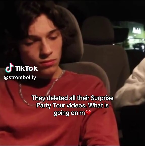 Sturniolo Triplets Surprise Party Videos Deleted?