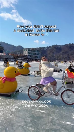 Duck sled at Sanjeong Lake Festival ❄️ my fave winter activity in Korea, sledding through a frozen lake plus the duck is so cute 🥹 📍Sanjeong Lake (Pocheon) Price: 16K won per head Save this video and visit this place. Use my discount code: Klook Code: 𝗗𝗢𝗖𝗦𝗔𝗠𝗠𝗬𝗞𝗟𝗢𝗢𝗞 Hotel Code: 𝐒𝐀𝐌𝐌𝐘𝐀𝐆𝐎𝐃𝐀 Or click the link below: 👉https://ago-da.co/SAMMYAGODA #SanjeongLake #DuckSled #KoreaWinter #WinterInKorea #docsammyinkorea | DocSammy Travels