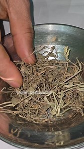 457 reactions · 73 shares | Indian pennywort, brami boti Helpful in 1. Nerve issues 2. Forgetfulness 3. Brain tonic 4. Skin #link of blog https://wp.me/p2vgwE-LH | Javaid Speaks | Facebook