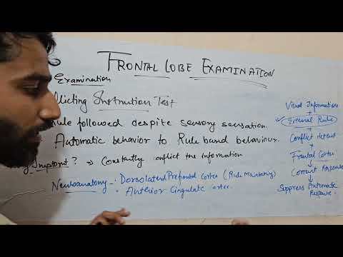 FRONTAL LOBE EXAMINATION PART 2 | VERBAL FLUENCY | PROVERBS | WISCONSIN CARD SORTING TEST