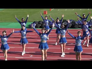 関西学院大学応援団総部チアリーダー部ハーフタイムショー