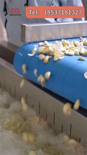 Industrial Garlic Processing Line | Garlic Peeling Washing Slicing Machine