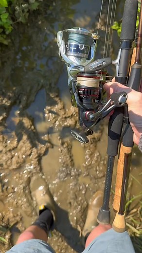 Fishing in a mud hole! 😳🎣 #fishing #bassfishing #fishingvideos #fishingtips #howtofish #fishtok | Sight Fish