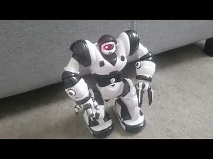 Robosapien review