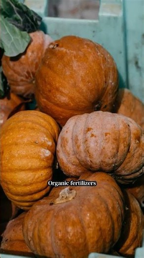 Climate-smart crop production techniques