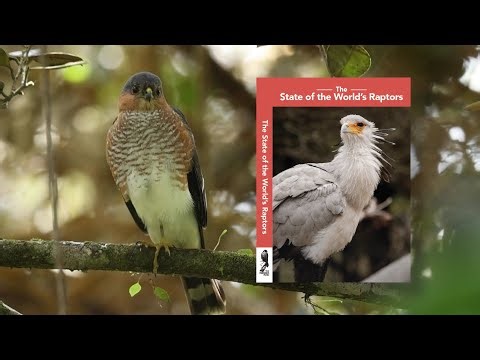 New Book: The State of the World's Raptors