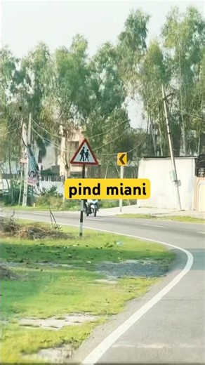 miani pind #punjab #vlog #nature #plants