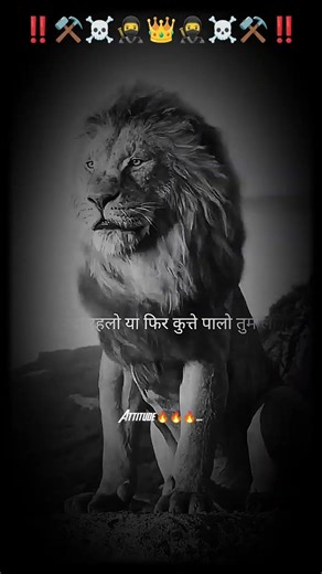 attitude motivational shayari lion status #trending