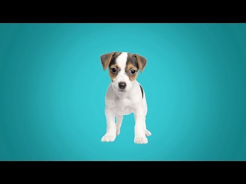 Sparkabilities Toddler 1 HD | Fun Early Learning | ABCs, Numbers, Shapes, Colors Animals & More