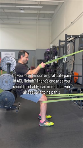 Ignite Phyzio | ACL REHAB | Soleus. That’s the thing We often ask our quads to bear the load of high speed “braking” and knees over toes and neglect the fact that... | Instagram