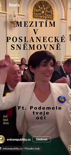 Finanční situace v ČR: Politické debaty v poslanecké sněmovně