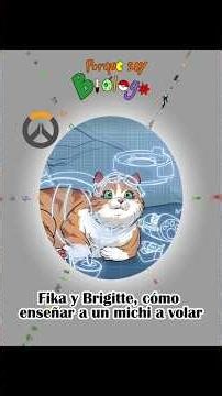 Fika and Brigitte, how to teach a kitty to fly - Overwatch