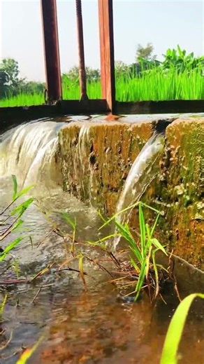 Relaxing Water Sounds for Deep Sleep #watersound #relax #calming #sleeping #stressrelief