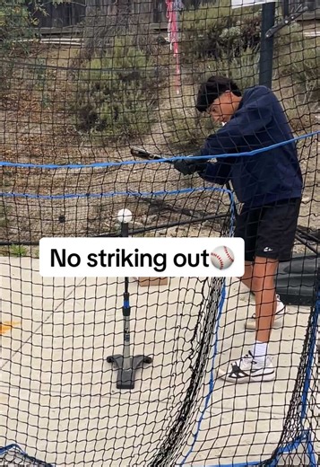 Baseball Batting Practice Net: Stop Striking Out!