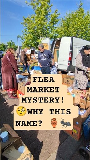Why Is It Called a Flea Market? 🧐🇧🇪 #verakrus568 #brocante #belgium