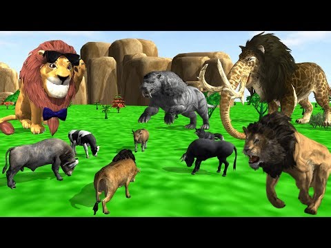 Buffalo & Baku vs Wild Animals Who Will Come Out on Top | Lion , Tiger, Saber tooth Tiger and cow