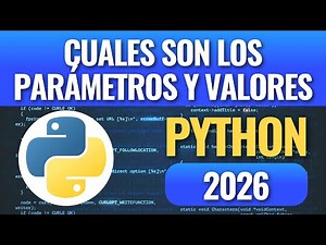 What are the parameters and values ​​in Python functions in 2026?