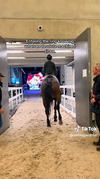 Spicy Mare: A Showjumper's Thrilling Experience