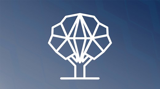 The Plum Tree App: Important Information Regarding Closure