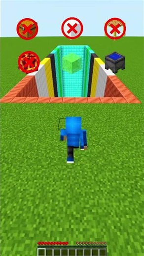 Minecraft : Which Block Fall can Survive? 🤯 #minecraft #shorts
