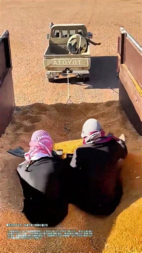 タイトル車を引きずる力：砂漠で育つ穀物の運び方
