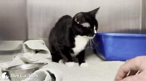 125K views · 1.2K reactions | CALIFORNIA FIRE RESPONSE UPDATE ❗ The...