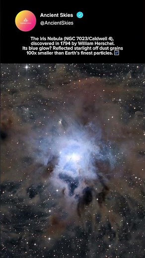 A Nebula Made of Reflected Starlight #shorts #space