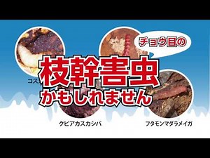 フェニックスフロアブル （枝幹害虫の生態と防除）