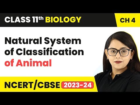 Natural System of Classification of Animal - Animal Kingdom | Class 11 Biology Ch 4 | NCERT/CBSE