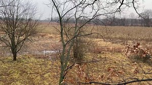 Check out this look from our HAWK Sasquatch! From early season to late, you gonna' be in comfort! | Buck Commander